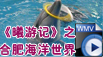 《曦游記》第二站——合肥海洋世界