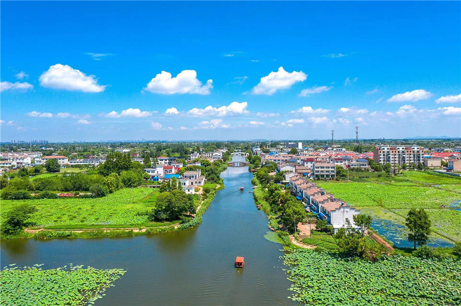 蕪湖市灣沚區(qū)陶辛鎮(zhèn)：水清荷香生態(tài)美