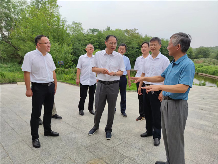 南譙區(qū)人大代表助力鄉(xiāng)村振興啟動(dòng)儀式后，市人大常委會(huì)副主任孫永進(jìn)一行調(diào)研南譙區(qū)施集鎮(zhèn)井楠村茶產(chǎn)業(yè)。李濤 楊華勇供圖