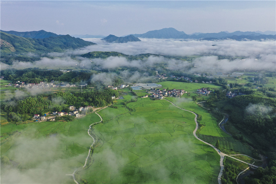 俯瞰鏡頭下的梯田。江建興攝