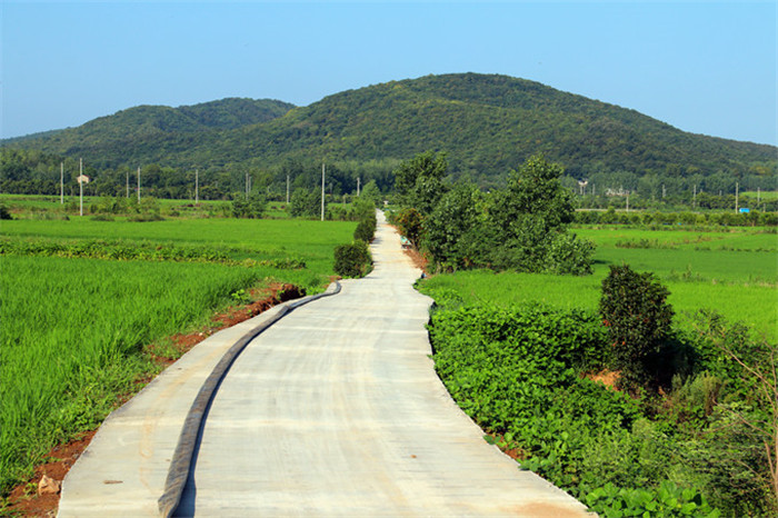 善厚鎮(zhèn)五月村“組戶通”道路硬化后的“順心路”