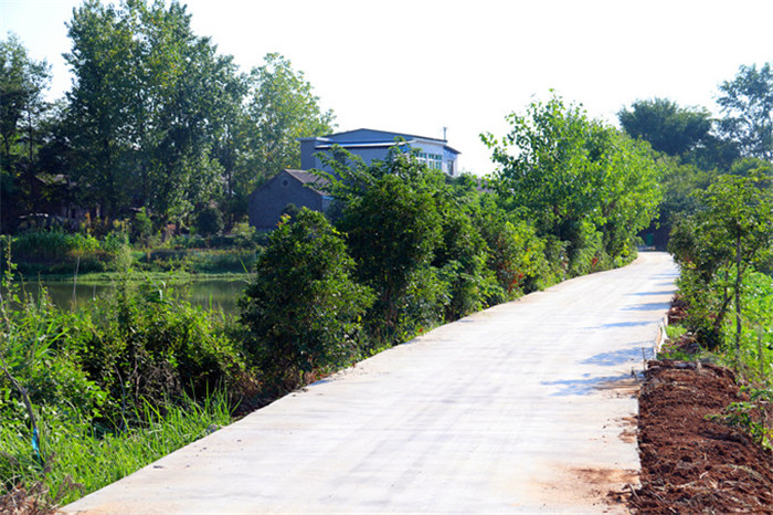 善厚鎮(zhèn)五月村“組戶通”道路硬化后的村道