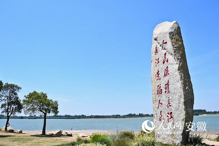 馬鞍山蘆葦江灘。人民網(wǎng) 周坤攝