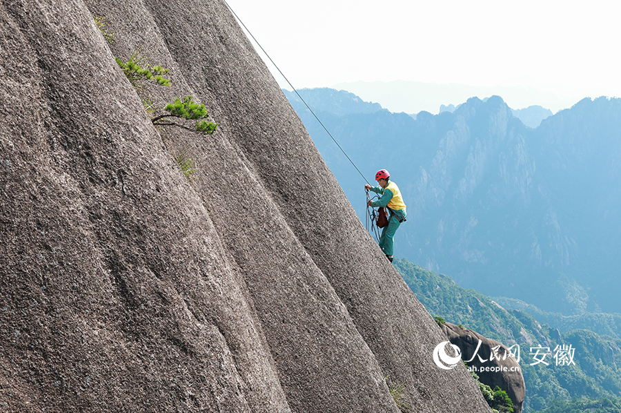 黃山風(fēng)景區(qū)放繩工李培生的清掃范圍永遠(yuǎn)是直起直落。人民網(wǎng) 張俊攝