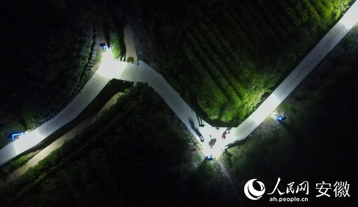 燈光下的鄉(xiāng)村步道。人民網(wǎng) 王銳攝