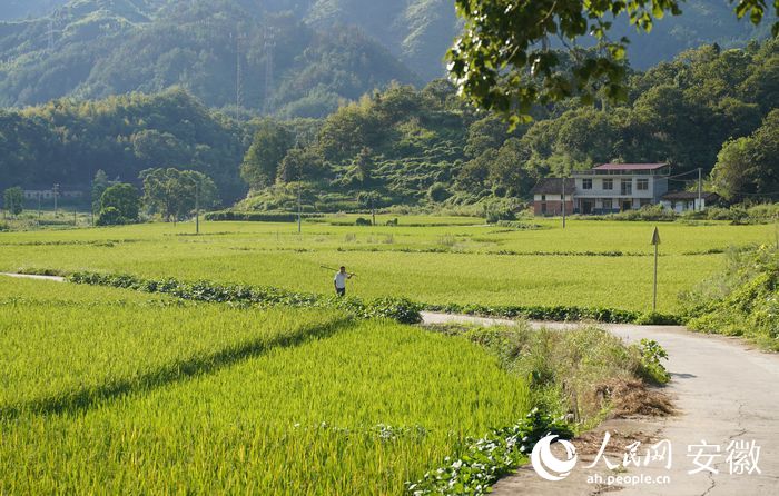 田野里村民荷鋤而歸。人民網(wǎng) 王銳攝