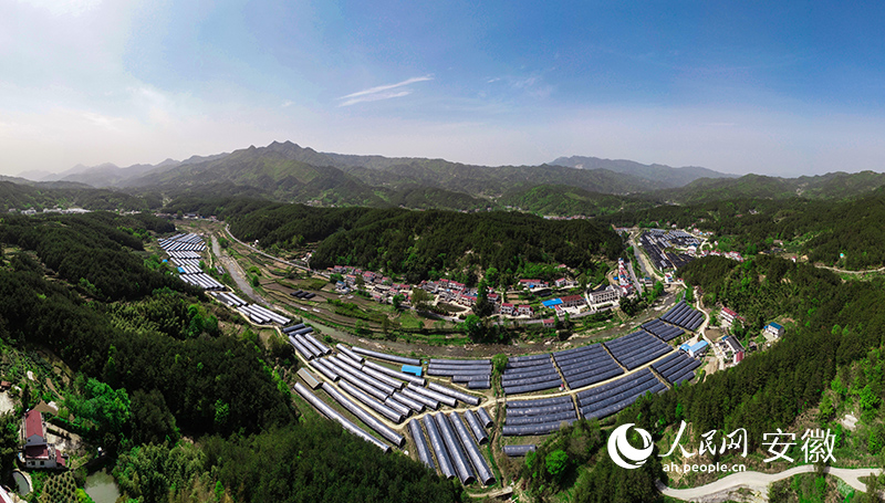 六安市霍山縣太平畈鄉(xiāng)，霍山石斛種植大棚沿著河谷鱗次櫛比。人民網(wǎng) 張俊攝