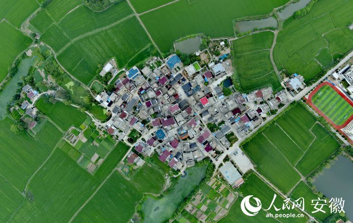俯瞰鳩江區(qū)沈巷鎮(zhèn)螺百社區(qū)廟于村民組。人民網(wǎng) 王銳攝