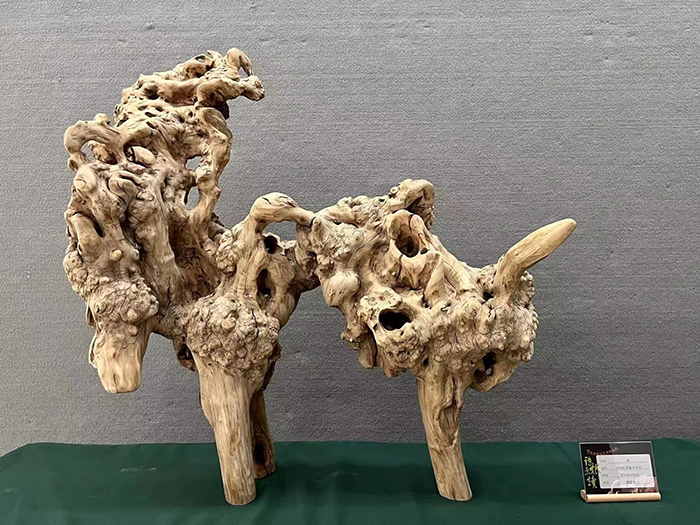 顧蘇輝的根藝作品。