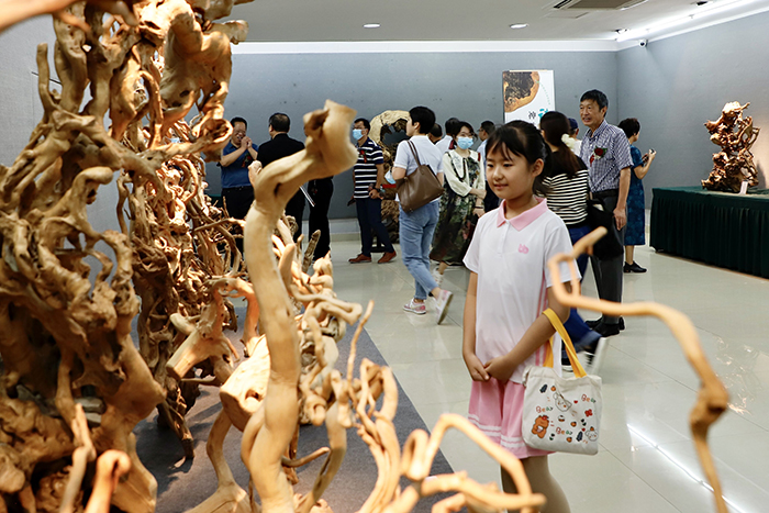 市民觀展