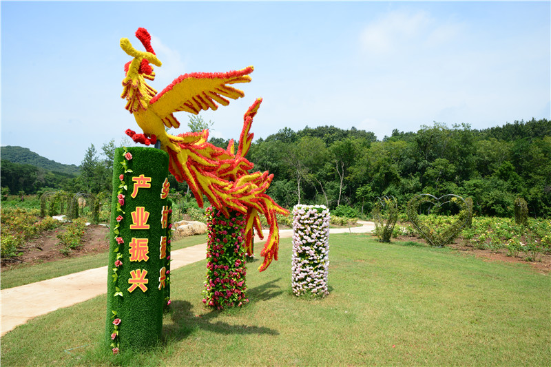 吸引產(chǎn)業(yè)投資。鳳陽(yáng)縣委宣傳部供圖