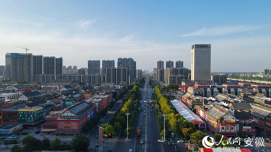無人機(jī)拍攝中藥材交易中心一隅。人民網(wǎng) 王曉飛攝