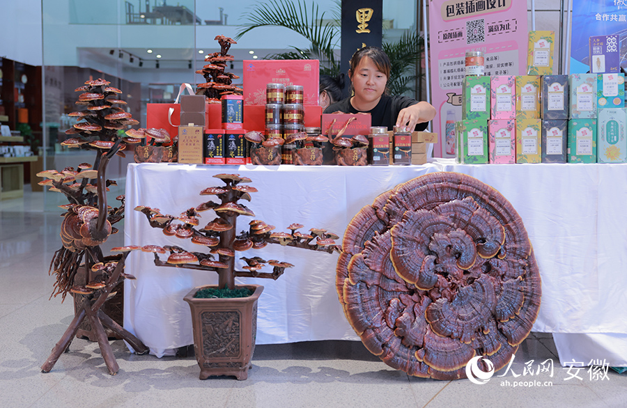 一處藥材經(jīng)營門店前，擺放的直徑超過80公分的靈芝非常博人眼球。人民網(wǎng) 王曉飛攝