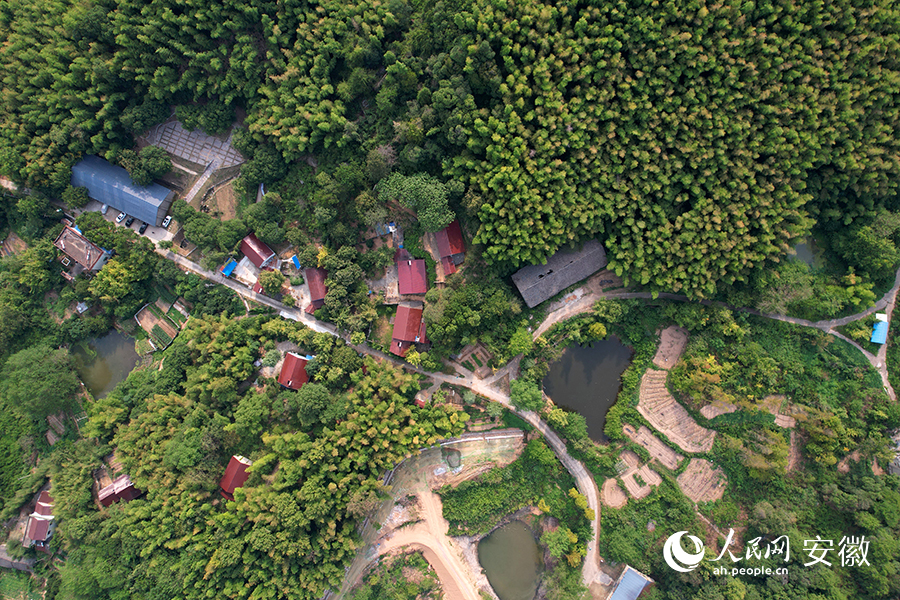 位于板石嶺景區(qū)的古桂公園。人民網(wǎng) 苗子健攝
