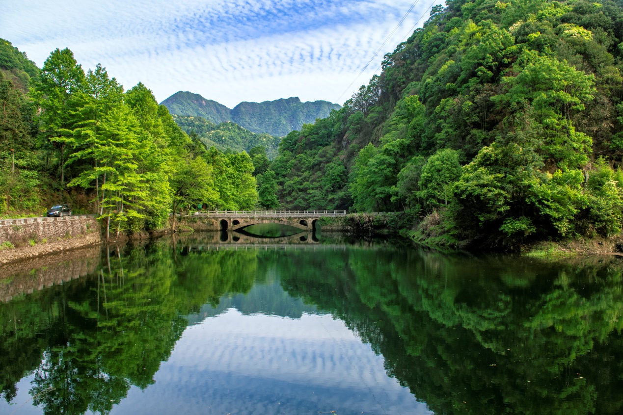 霄坑村景色。趙冬至供圖