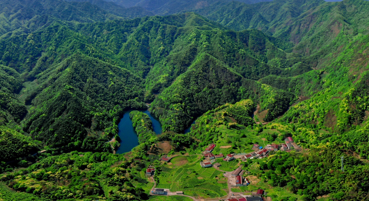 霄坑村景色。趙冬至供圖