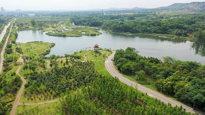 舜耕山濕地公園。田家庵區(qū)委宣傳部供圖