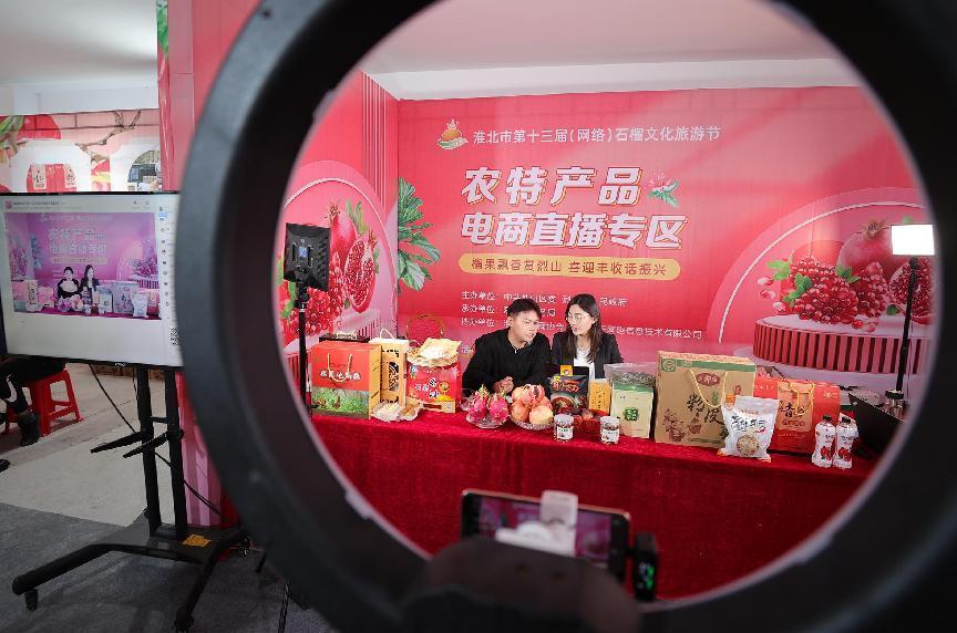 石榴豐收季線上直播。馮樹風(fēng)攝