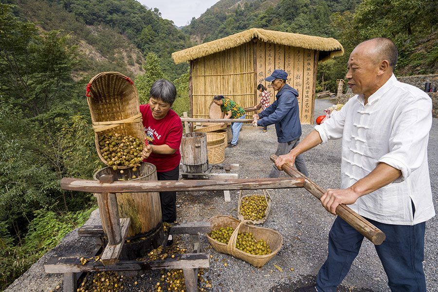 古法制作山核桃。李曉紅攝