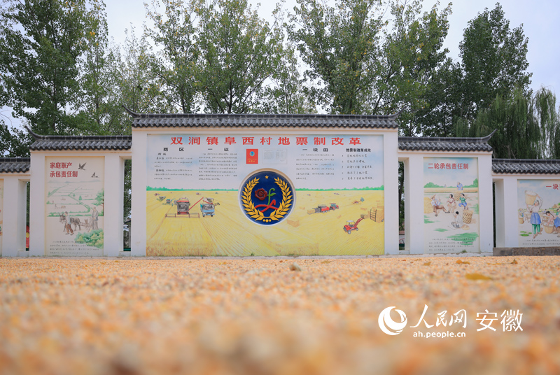 蒙城雙澗鎮(zhèn)阜西村將地票制改革內(nèi)容寫在村民廣場(chǎng)的照壁上。人民網(wǎng) 王曉飛攝