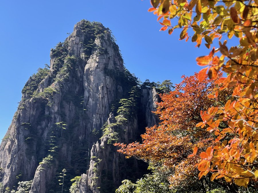 黃山秋意濃。汪興國攝
