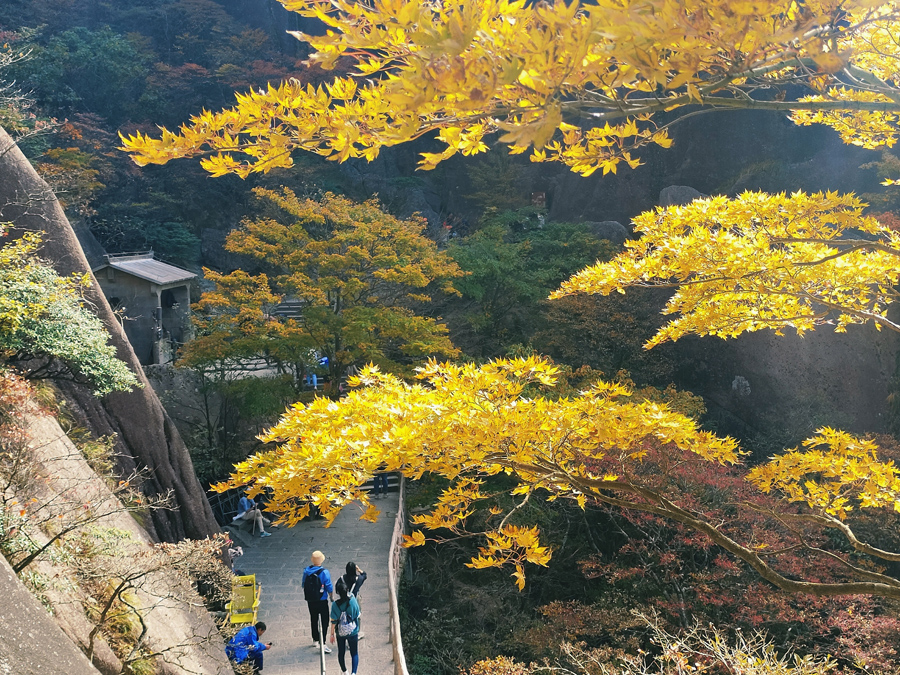 黃山秋意濃。許永杰攝