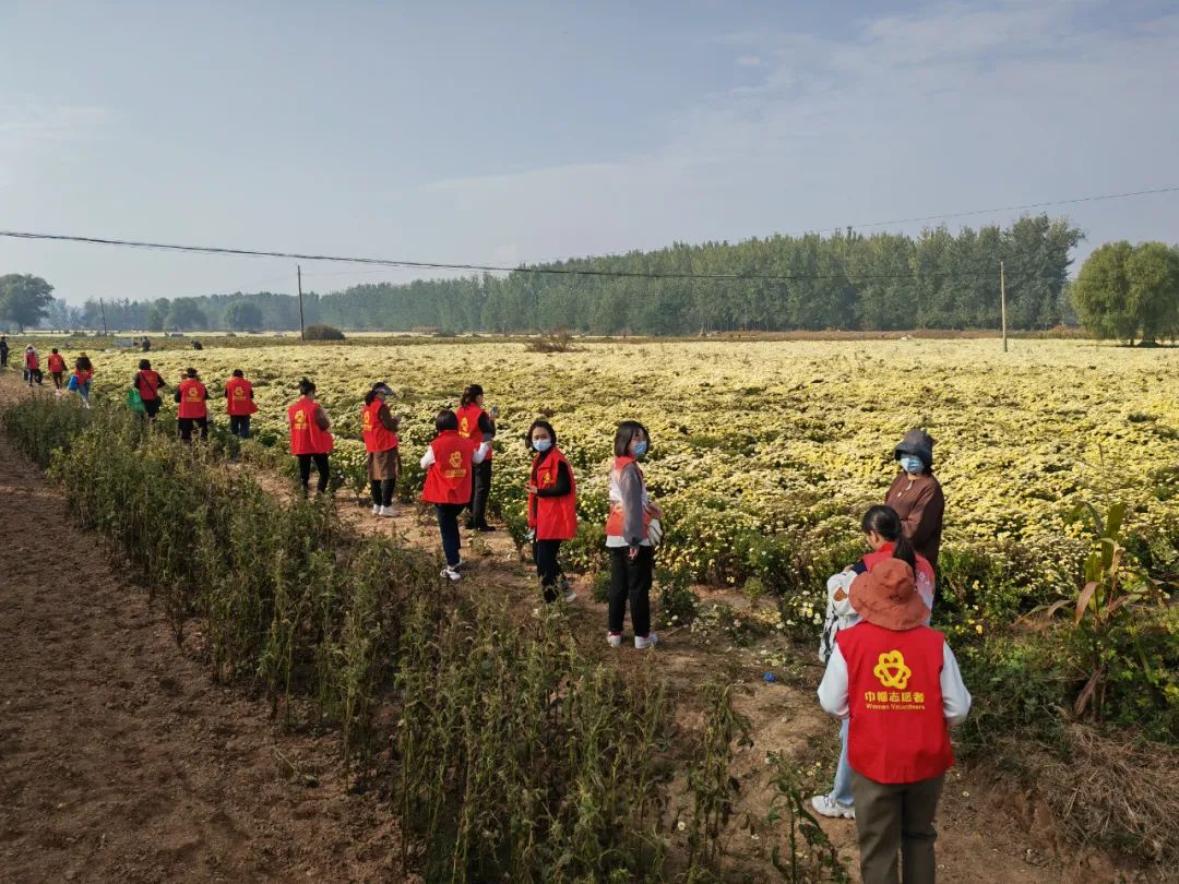 巾幗志愿服務(wù)暖民心。相山區(qū)委宣傳部供圖
