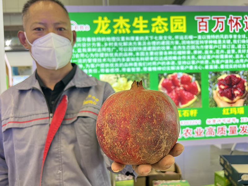 懷遠(yuǎn)石榴亮相展銷會。張毅璞攝