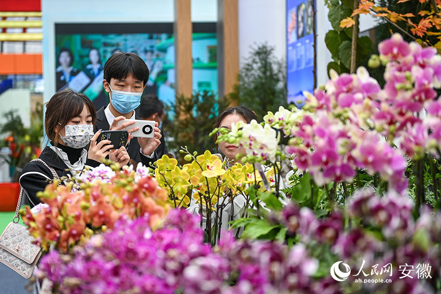 市民在展廳中拍攝各色花卉。人民網(wǎng)記者 苗子健攝