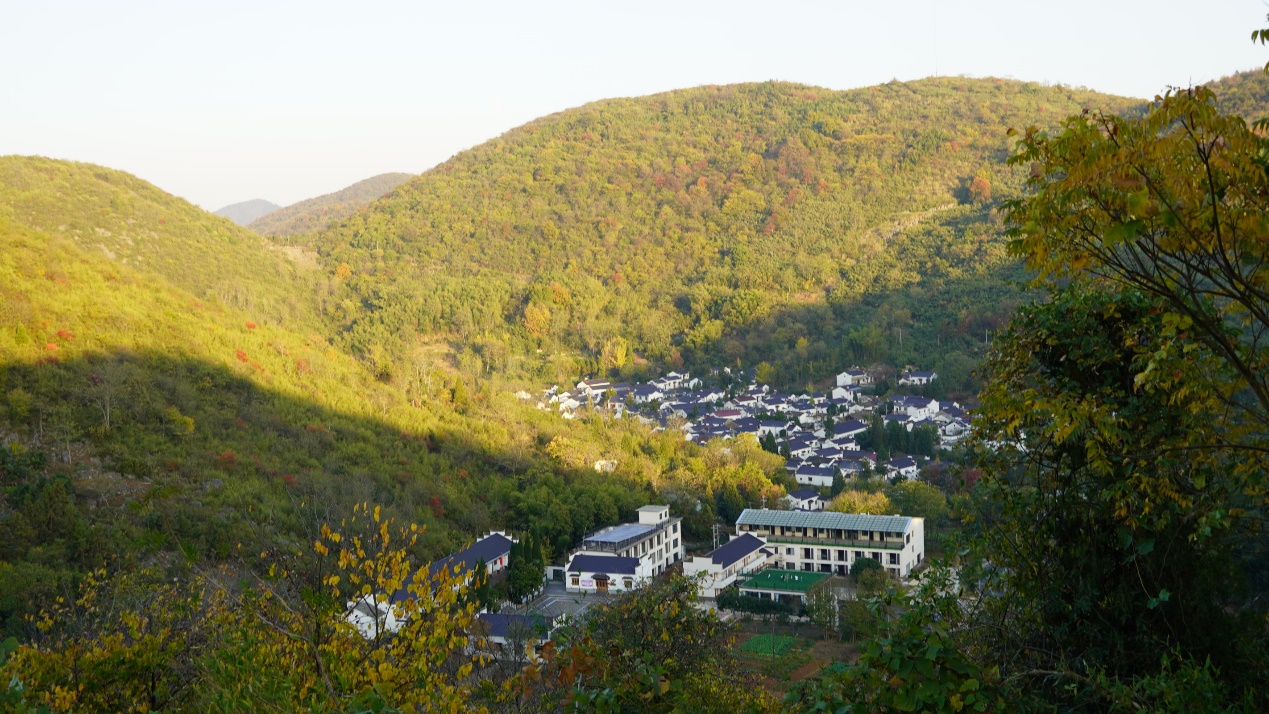 龍山中心村。陳瀟攝