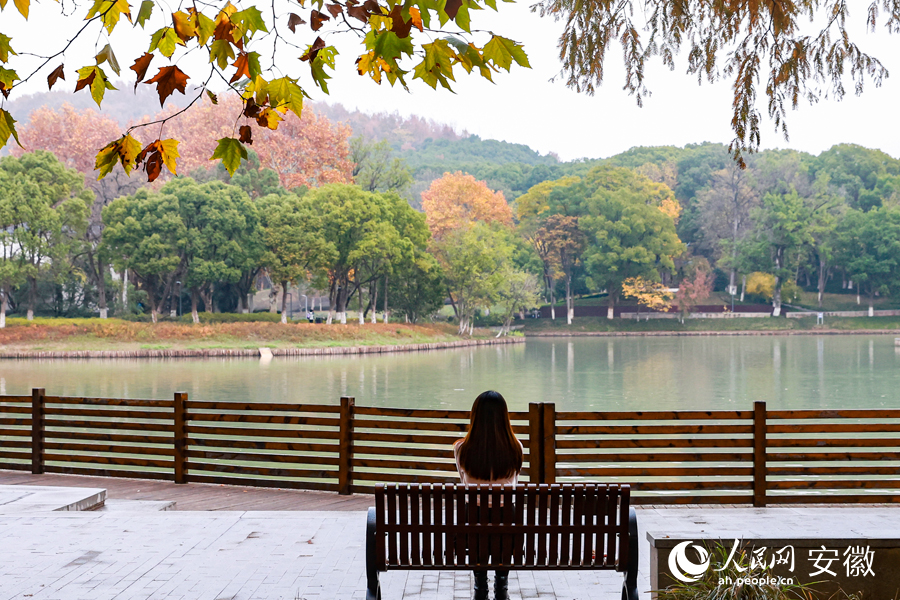 在蕪湖雕塑公園，市民正坐在芙蓉湖畔小憩。人民網(wǎng) 張俊攝