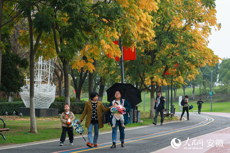 在蕪湖神山公園，新增了150把座椅。人民網(wǎng) 張俊攝