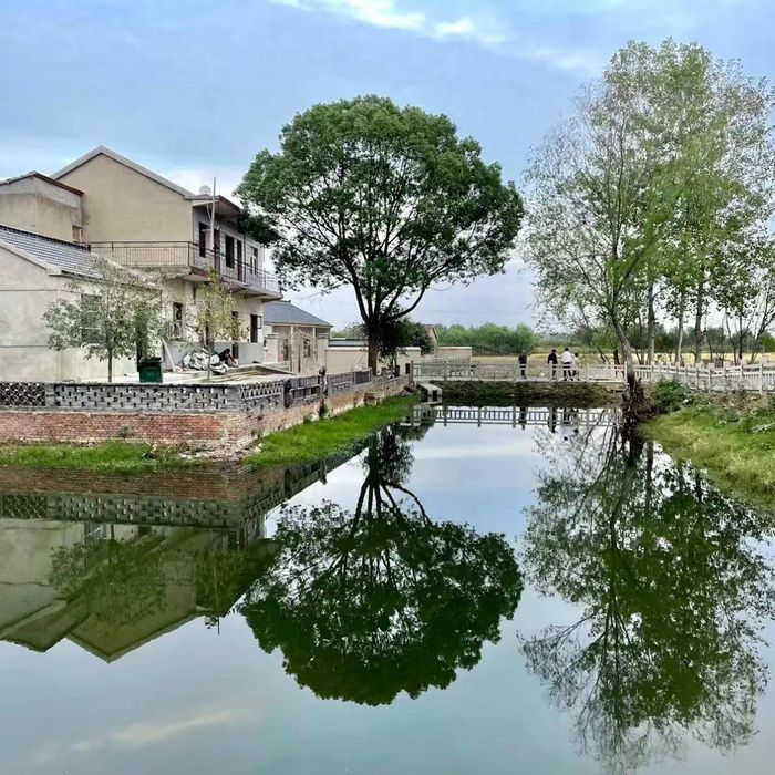 鄉(xiāng)村一景。申衛(wèi)平供圖