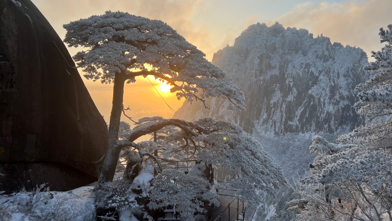 黃山迎客松。侯瑞東攝