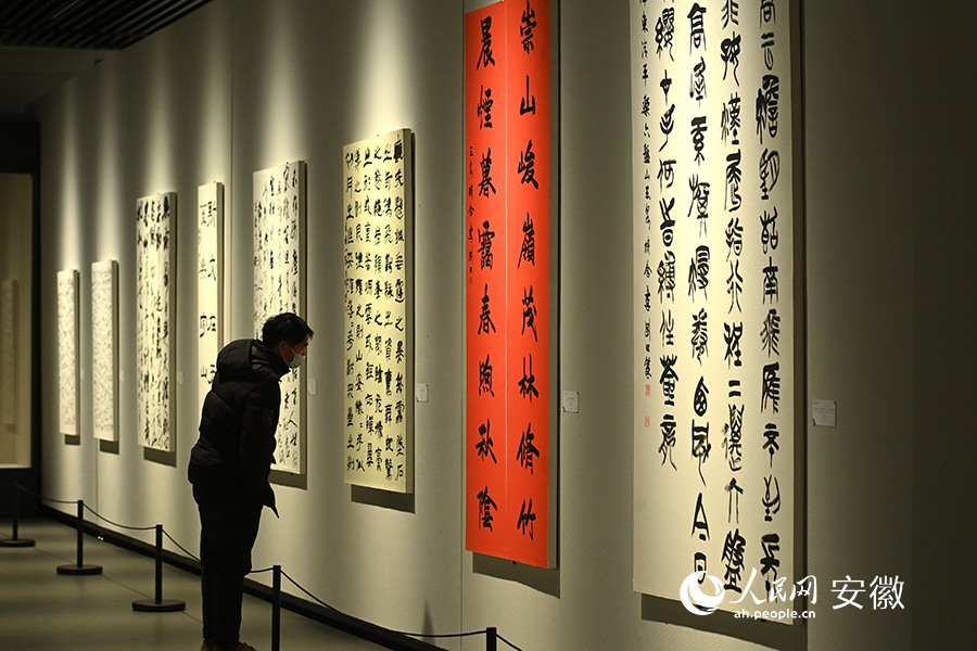 市民在宿州美術(shù)館欣賞書法作品。人民網(wǎng)記者 苗子健攝