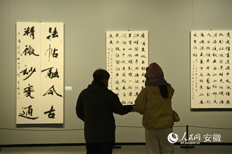 市民在宿州美術(shù)館欣賞書法作品。人民網(wǎng)記者 苗子健攝