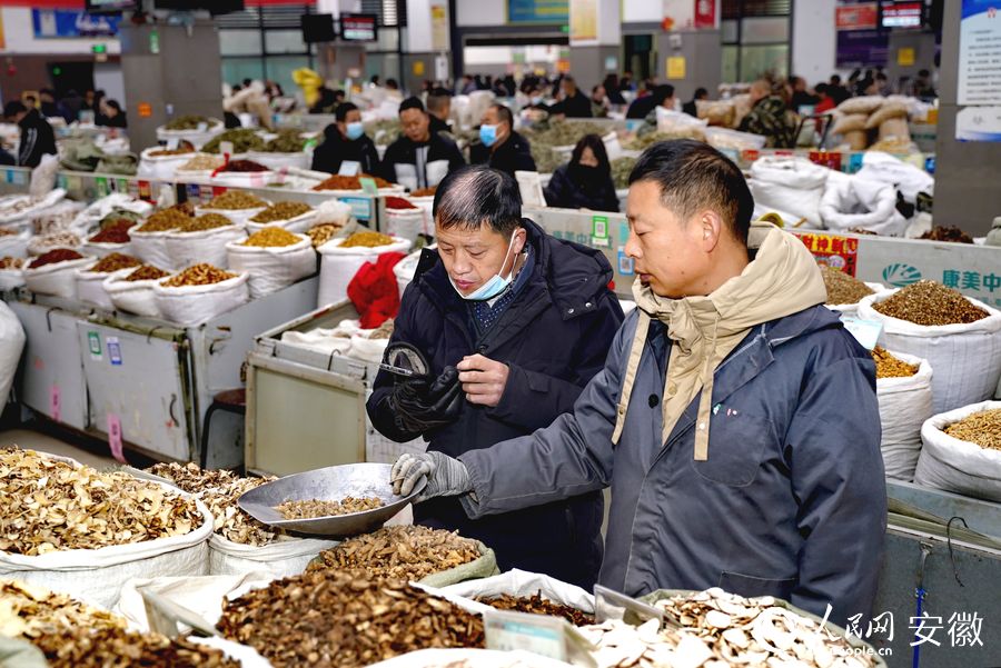 亳州市中藥材市場內(nèi)客商正在商量價格。人民網(wǎng) 王銳攝