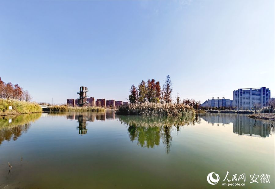 朱家橋尾水凈化生態(tài)公園。人民網(wǎng) 王銳攝