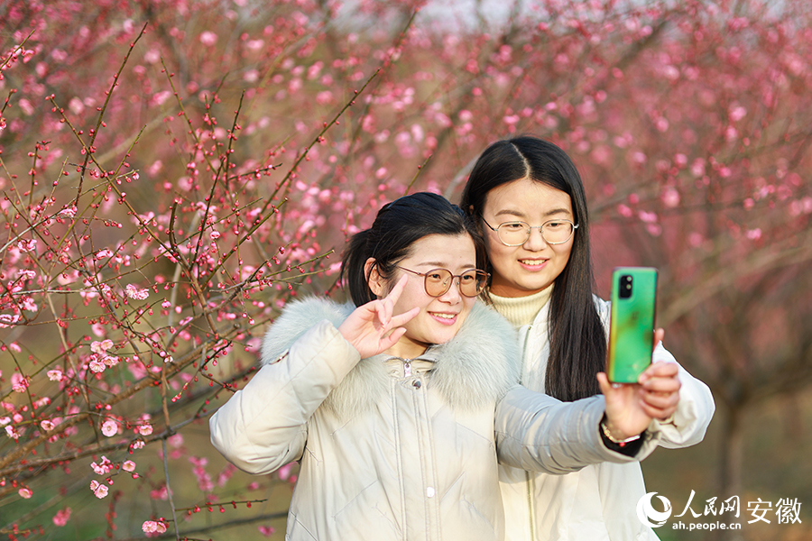 花間留影。人民網(wǎng) 張俊攝