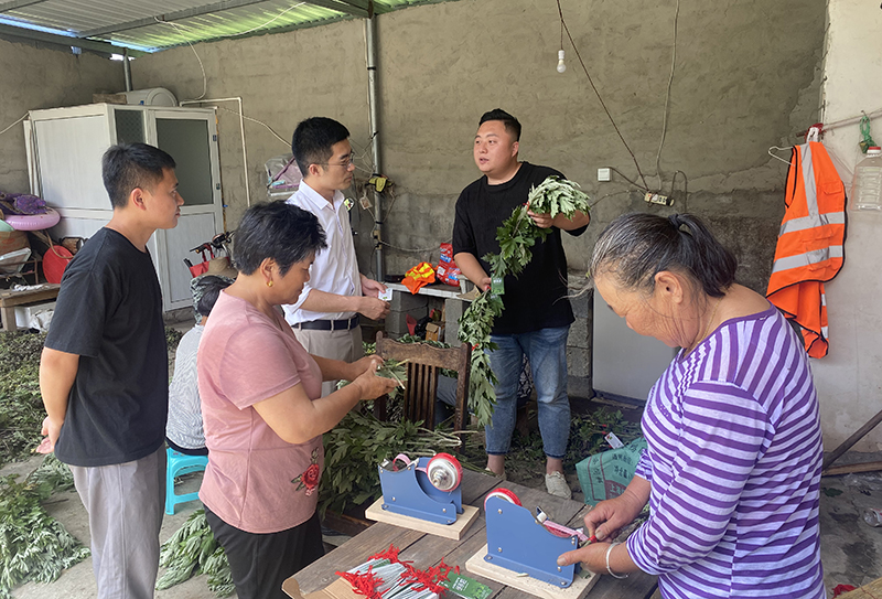 華俊正在介紹艾草。董紅艷攝