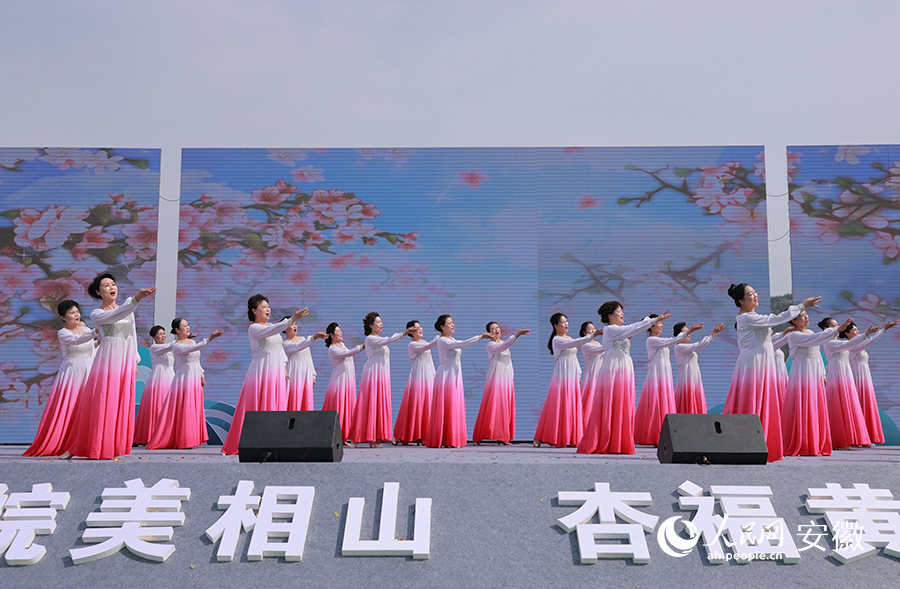 現(xiàn)場(chǎng)演出。人民網(wǎng) 王曉飛攝
