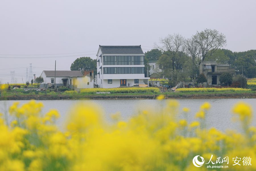風(fēng)景這邊獨(dú)好。人民網(wǎng) 王曉飛攝