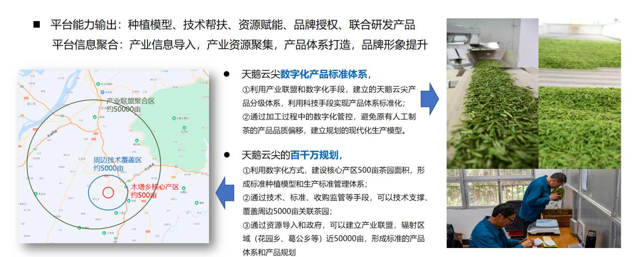 天鵝云尖數(shù)字化收儲、加工。劉?？﹫D