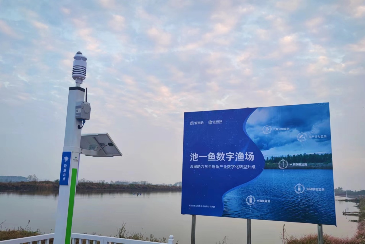 “池一魚”數(shù)字漁廠。劉?？﹫D