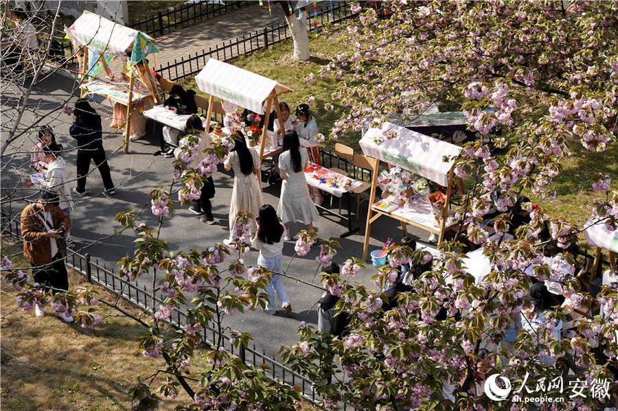俯瞰櫻花集市。人民網(wǎng) 王銳攝