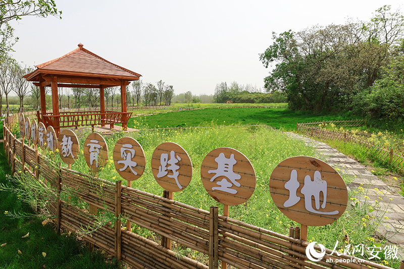 位于代村一隅的研學(xué)基地。人民網(wǎng) 張俊攝