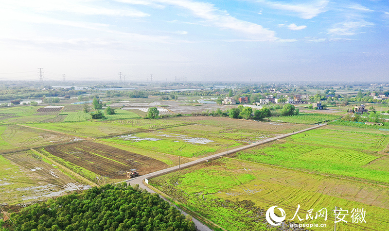 ”小田變大田“，迸發(fā)新力量，帶來新希望。人民網(wǎng) 張俊攝