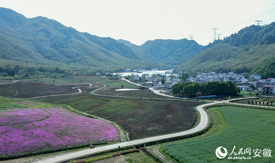航拍貴池區(qū)墩上街道羅城村。人民網(wǎng) 王銳攝