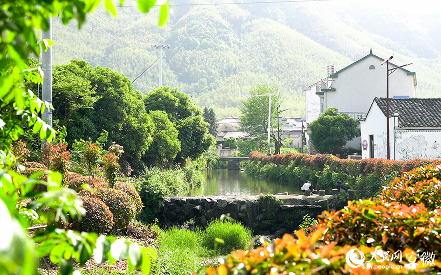 羅城村內(nèi)古樹村道，溪水潺潺。人民網(wǎng) 王銳攝