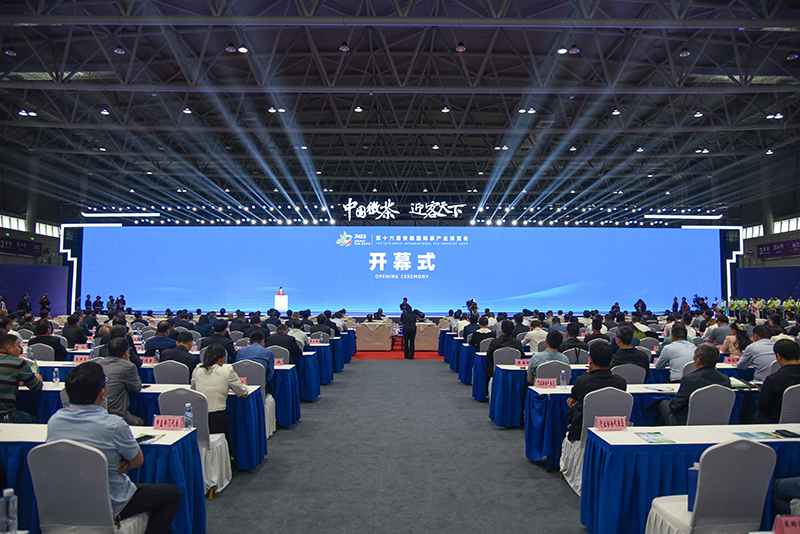 茶博會開幕式現(xiàn)場。人民網(wǎng) 李希蒙攝